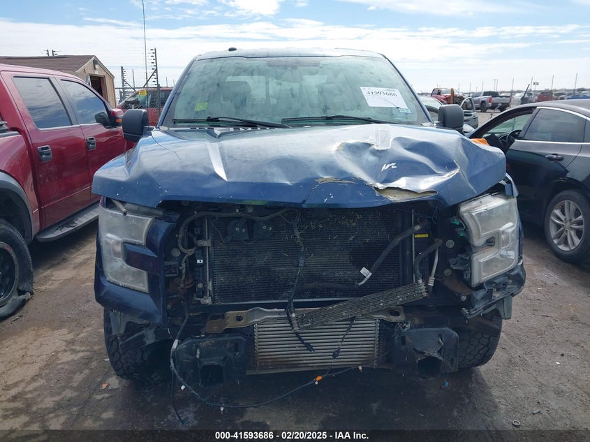 Thumbnail 13