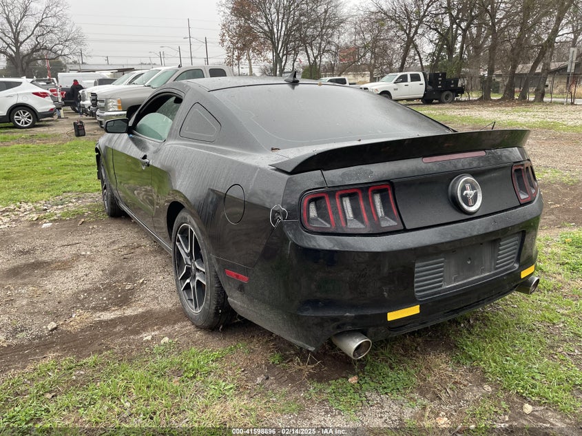 2014 FORD MUSTANG VIN: 1ZVBP8AM4E5268562