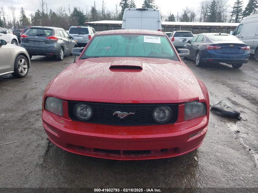 2008 Ford Mustang Gt Deluxe/Gt Premium VIN: 1ZVHT82H885103626 Lot: 41602793