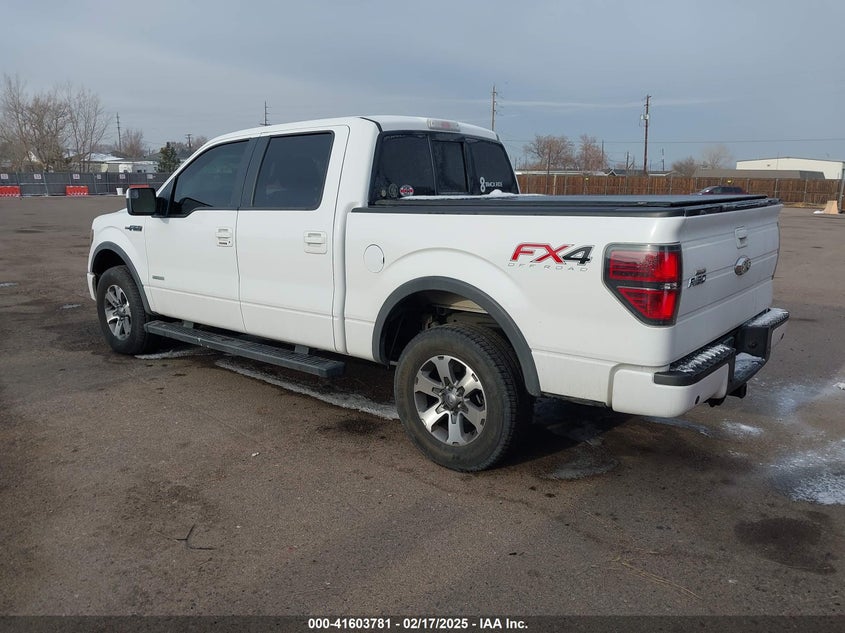 2013 FORD F-150 VIN: 1FTFW1ET6DKE56273