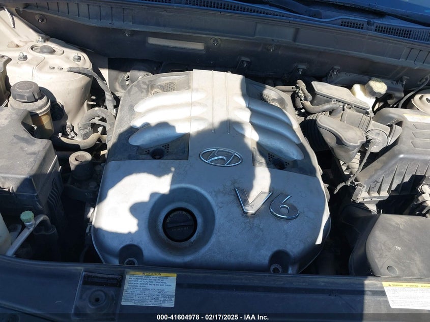 2007 Hyundai Veracruz Gls/Limited/Se VIN: KM8NU13C37U022627 Lot: 41604978