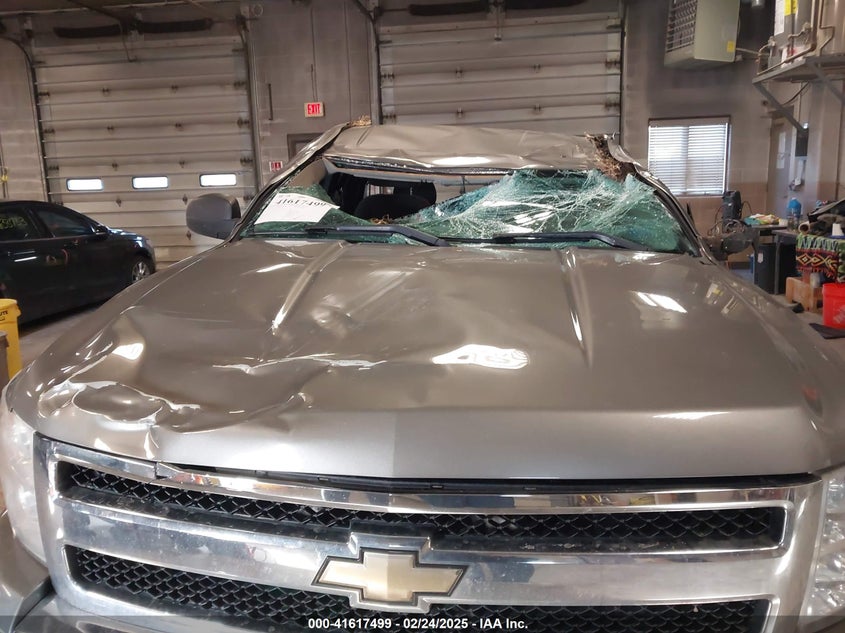 2009 CHEVROLET SILVERADO VIN: 1GCEK29069Z162464