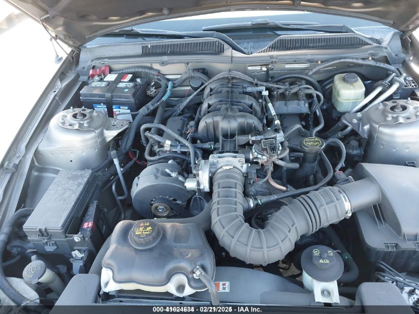 2005 Ford Mustang V6 Deluxe/V6 Premium VIN: 1ZVHT80N555113812 Lot: 41624634