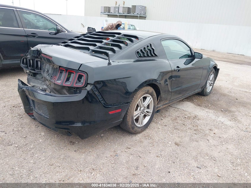 2014 FORD MUSTANG VIN: 1ZVBP8AM9E5250123