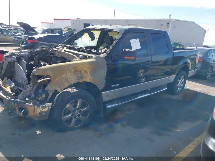 2011 FORD F-150 VIN: 1FTFW1ETXBFC42036