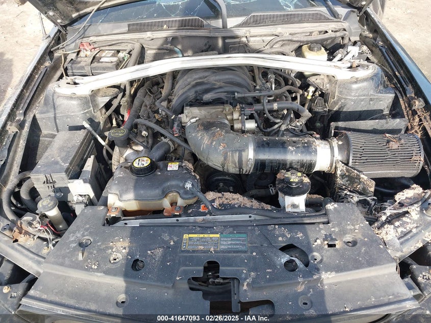 2006 FORD MUSTANG VIN: 1ZVFT82H665172030