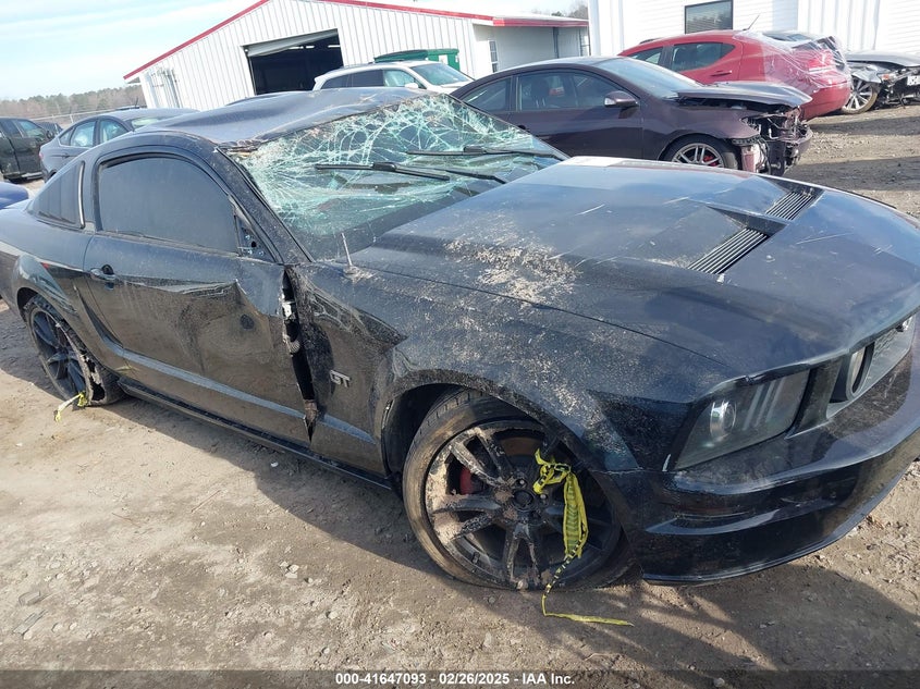 2006 FORD MUSTANG VIN: 1ZVFT82H665172030