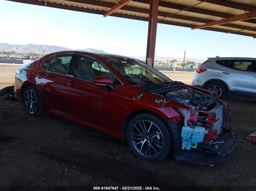 2021 TOYOTA CAMRY  (VIN: 4T1F31AK3MU026819)