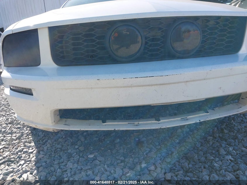 2005 Ford Mustang Gt Deluxe/Gt Premium VIN: 1ZVFT82H055155738 Lot: 41648817