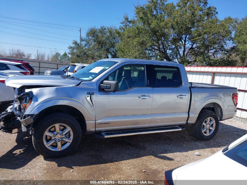 2024 Ford F-150 Xlt VIN: 1FTFW3LD2RFA07292 Lot: 41654093