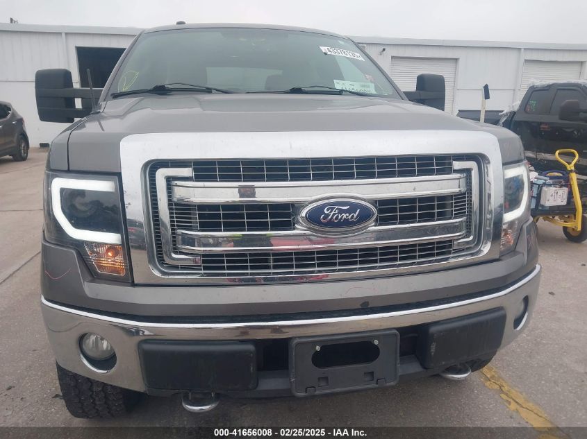 2013 Ford F-150 Xlt VIN: 1FTFW1EF0DFB77307 Lot: 41656008