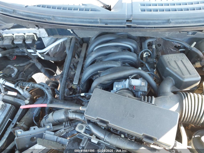 2010 FORD F-150 VIN: 1FTEW1C80AFA88025