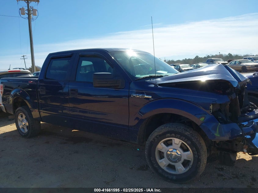 2010 FORD F-150 VIN: 1FTEW1C80AFA88025