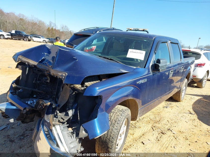 2010 FORD F-150 VIN: 1FTEW1C80AFA88025