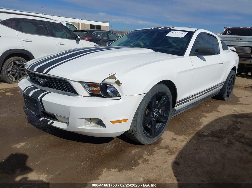 2010 FORD MUSTANG VIN: 1ZVBP8AN8A5166281