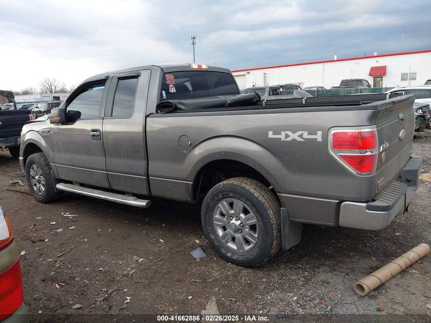 2011 FORD F-150 VIN: 1FTFX1EF6BFD28855