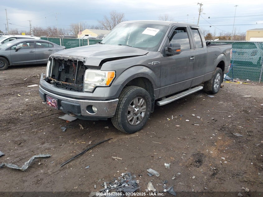 2011 FORD F-150 VIN: 1FTFX1EF6BFD28855