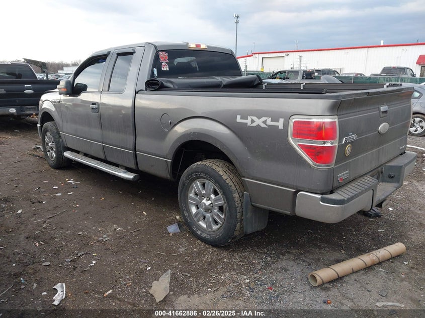2011 FORD F-150 VIN: 1FTFX1EF6BFD28855