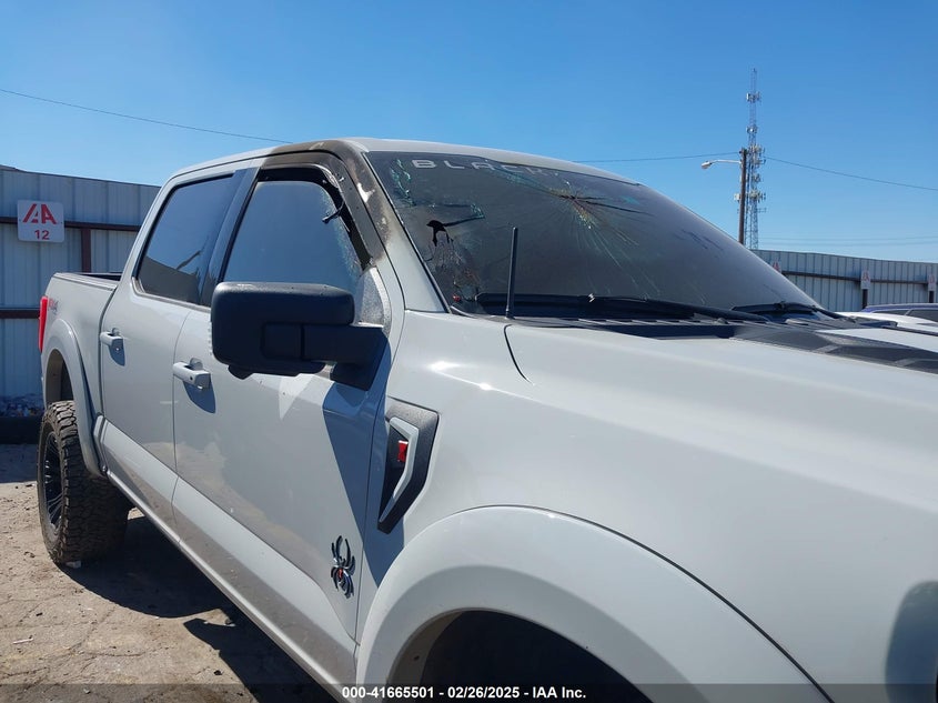1FTFW1E57PKD66443 2023 FORD F-150 photo no. 6
