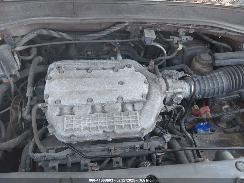 2007 Honda Pilot Ex-L VIN: 5FNYF18747B008204 Lot: 41668603