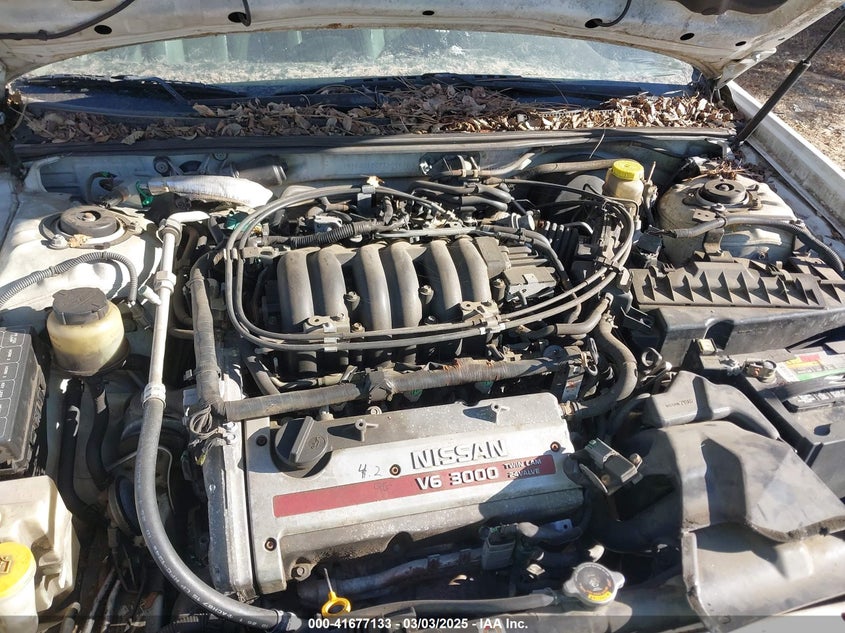 2000 Nissan Maxima Gle/Gxe/Se VIN: JN1CA31D0YT509631 Lot: 41677133