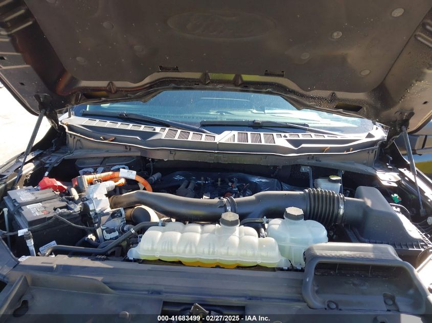 2024 Ford F-150 Xlt VIN: 1FTFW3LD6RFA03875 Lot: 41683499