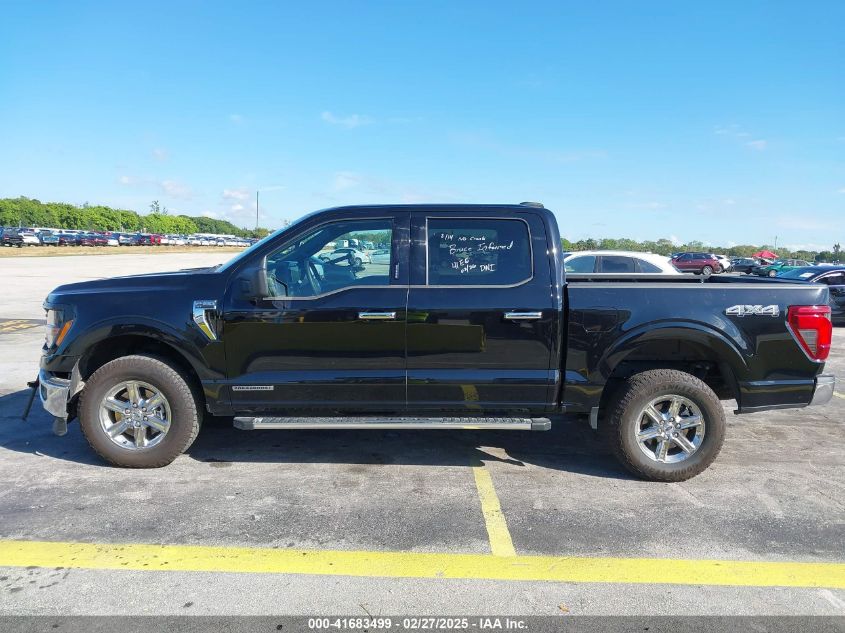 2024 Ford F-150 Xlt VIN: 1FTFW3LD6RFA03875 Lot: 41683499
