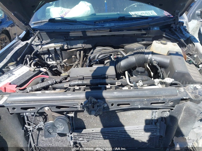 2010 FORD F150 VIN: 1FTEW1C8XAKE14338