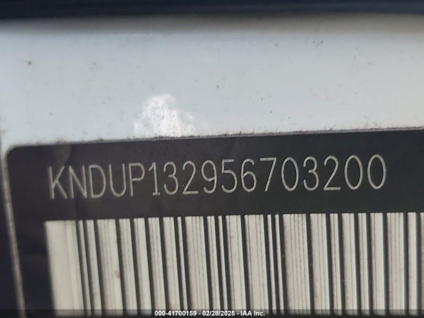 2005 Kia Sedona Ex/Lx VIN: KNDUP132956703200 Lot: 41700159