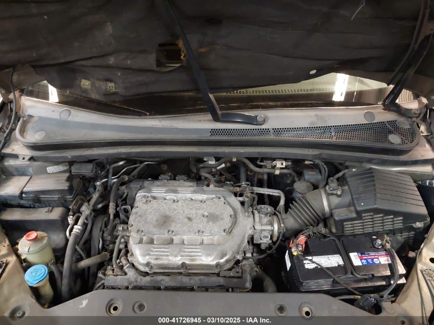 2009 Honda Odyssey Ex-L VIN: 5FNRL38689B406342 Lot: 41726945