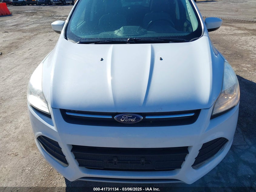 2014 FORD ESCAPE VIN: 1FMCU0G96EUC87863