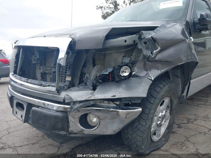 2010 FORD F150 VIN: 1FTEW1C87AKB05460