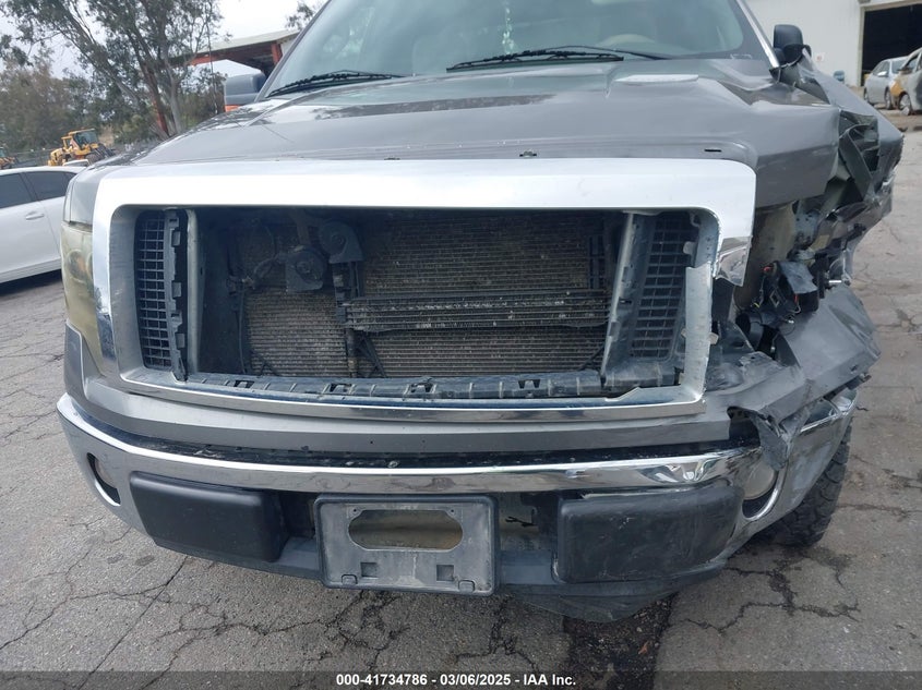 2010 FORD F150 VIN: 1FTEW1C87AKB05460