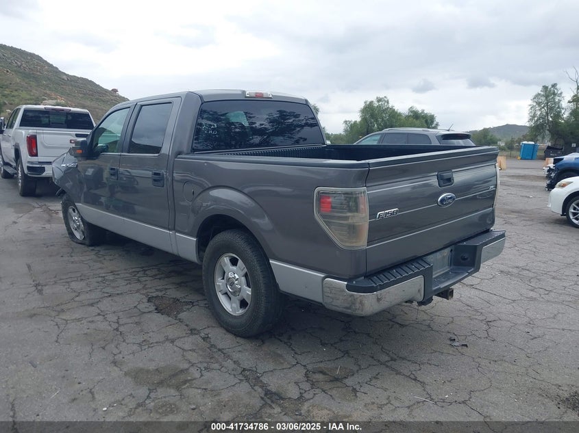 2010 FORD F150 VIN: 1FTEW1C87AKB05460