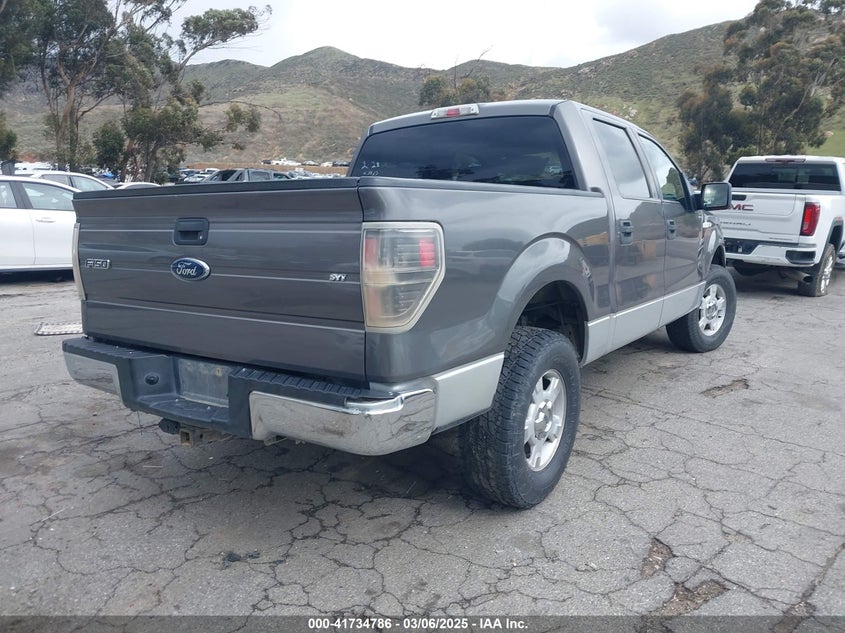 2010 FORD F150 VIN: 1FTEW1C87AKB05460