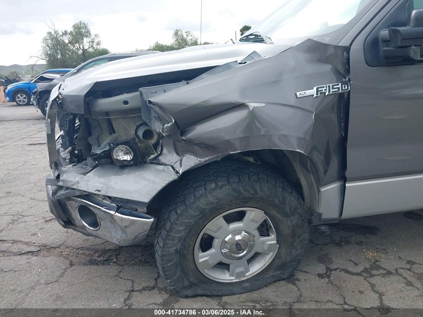 2010 FORD F150 VIN: 1FTEW1C87AKB05460