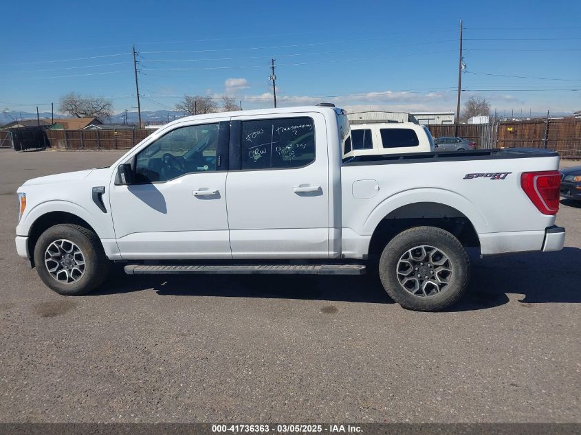 2023 Ford F-150 Xlt VIN: 1FTFW1E53PFA91033 Lot: 41736363