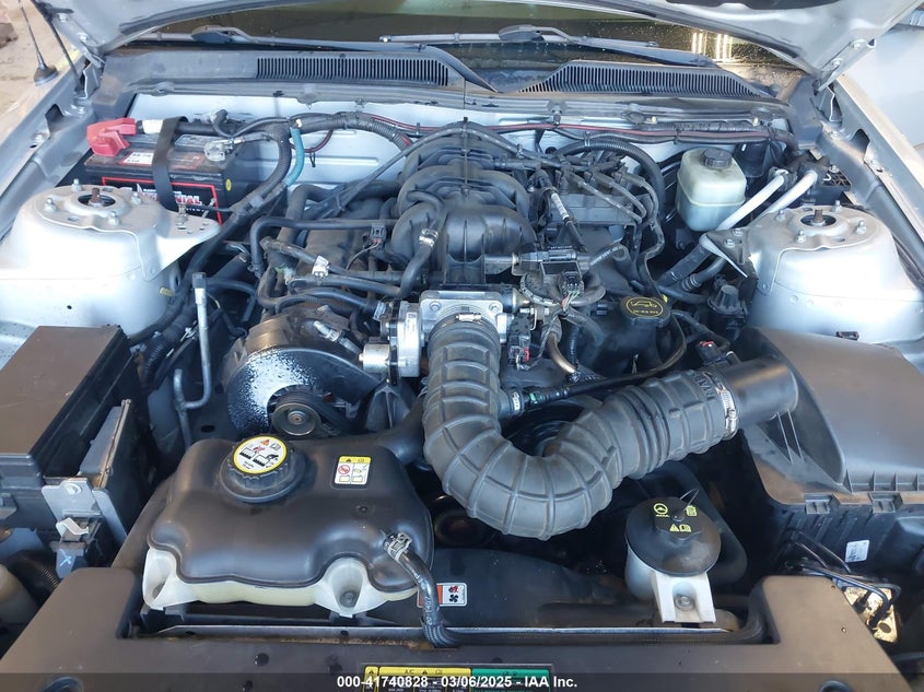 2005 Ford Mustang V6 Deluxe/V6 Premium VIN: 1ZVFT80NX55165461 Lot: 41740828