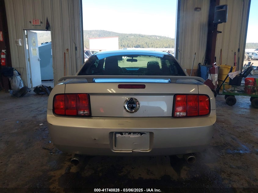 2005 Ford Mustang V6 Deluxe/V6 Premium VIN: 1ZVFT80NX55165461 Lot: 41740828