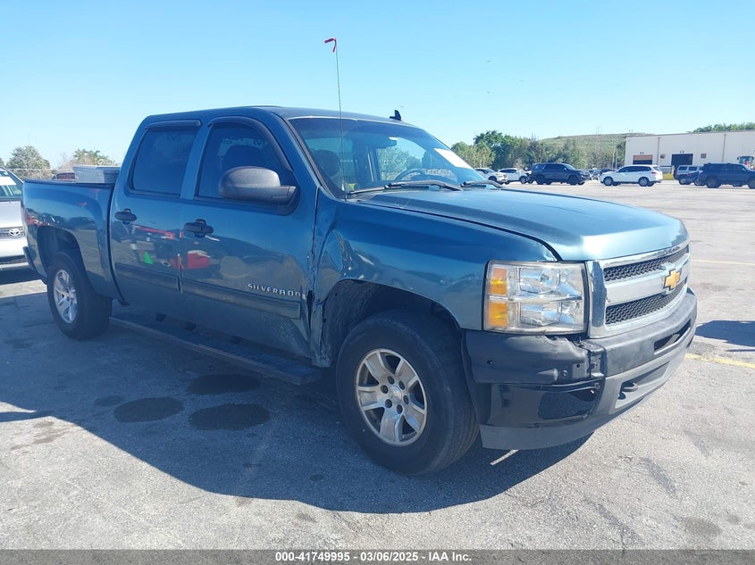 2009 CHEVROLET SILVERADO 1500 VIN: 3GCEK13C79G251182