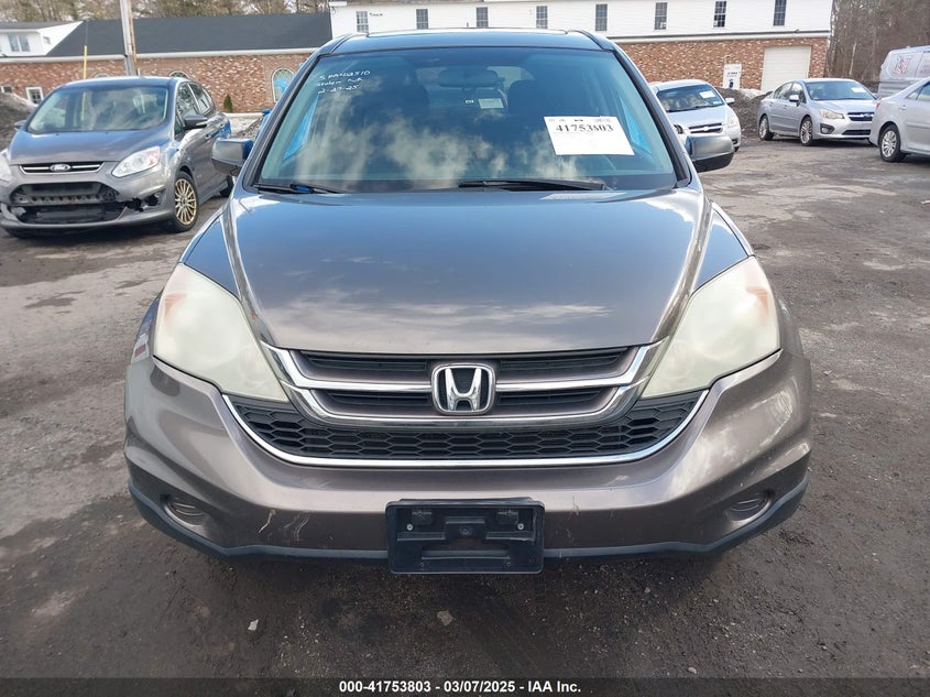 5J6RE4H57AL031482 2010 HONDA CR-V photo no. 6