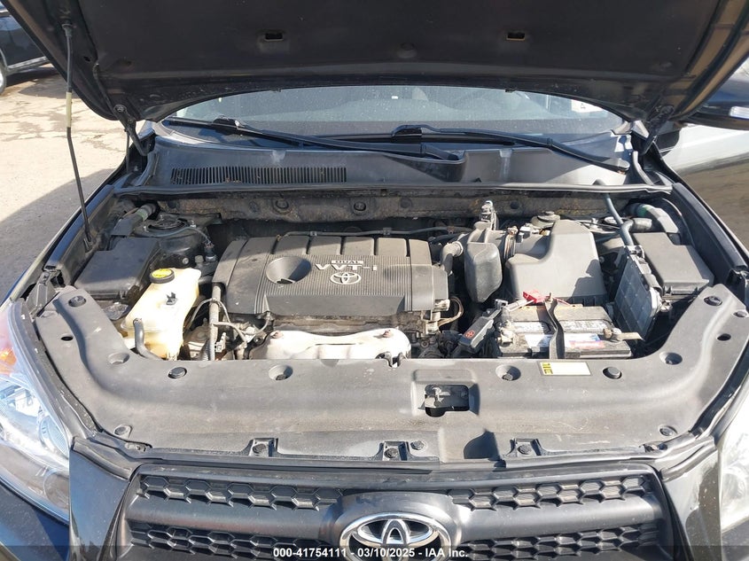 2010 TOYOTA RAV4 VIN: JTMRF4DV0A5029568