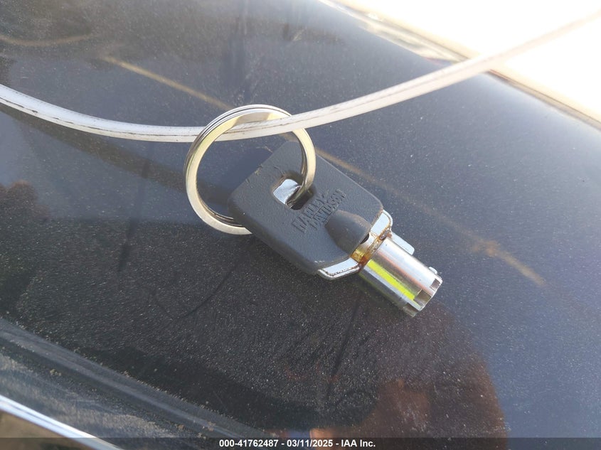 2006 Harley-Davidson Flhxi VIN: 1HD1KBW186Y684315 Lot: 41762487