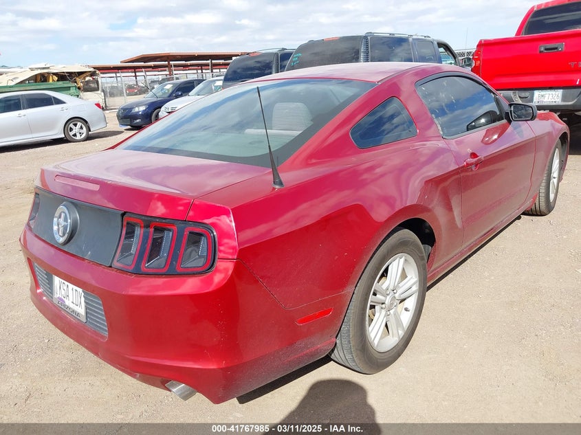 2014 FORD MUSTANG VIN: 1ZVBP8AM9E5252762