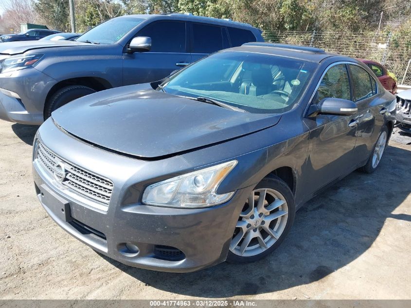 2010 Nissan Maxima 3.5 Sv VIN: 1N4AA5AP5AC805685 Lot: 41774863