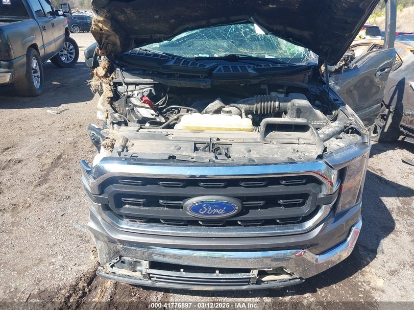 2023 Ford F-150 Xlt VIN: 1FTFW1E58PFA34813 Lot: 41776897