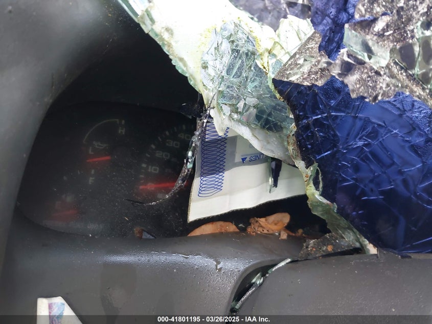 2003 Ford F-250 Lariat/Xl/Xlt VIN: 1FTNX21P93EC92473 Lot: 41801195