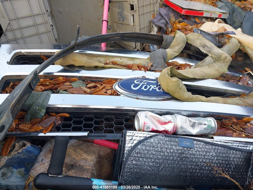 2003 Ford F-250 Lariat/Xl/Xlt VIN: 1FTNX21P93EC92473 Lot: 41801195