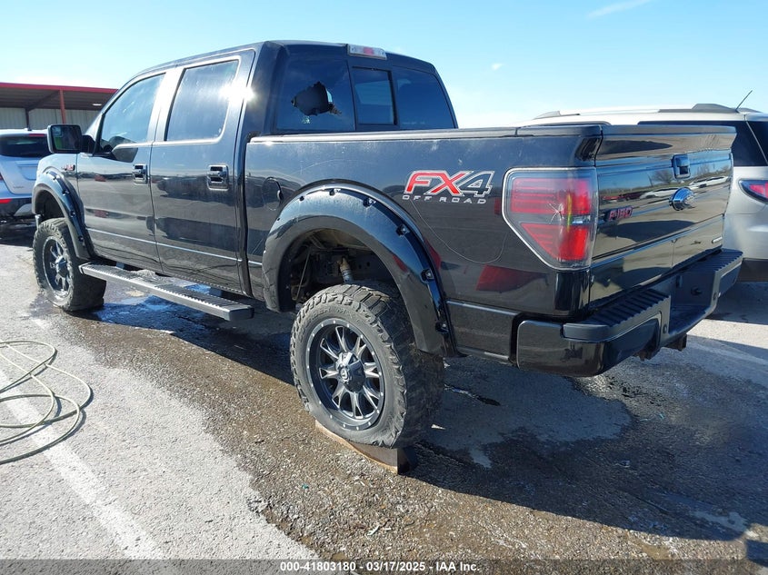 2013 FORD F-150 VIN: 1FTFW1EF3DKG26261