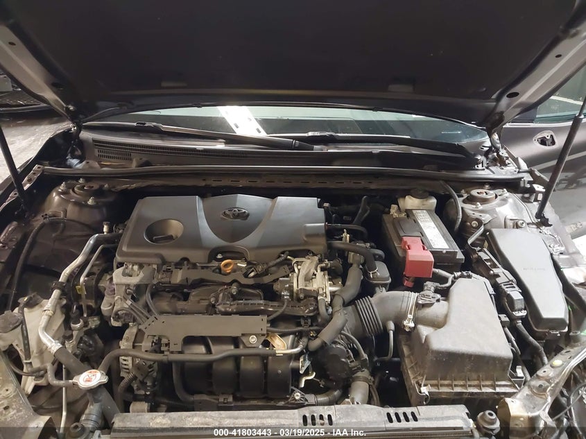 2019 TOYOTA CAMRY VIN: 4T1B11HK5KU852482